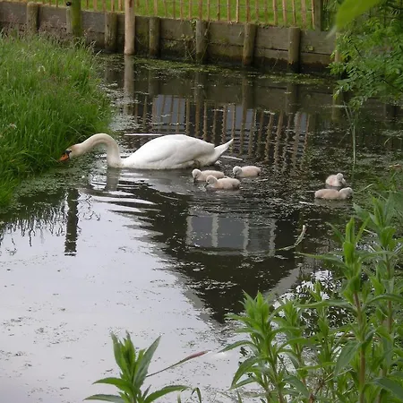 Logeren Aan De Amstel Feriehus *